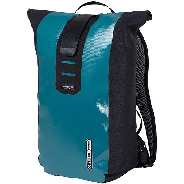 Amazon | ORTLIEB(オルトリーブ) パックマン プロ2 R3212 ペトロール